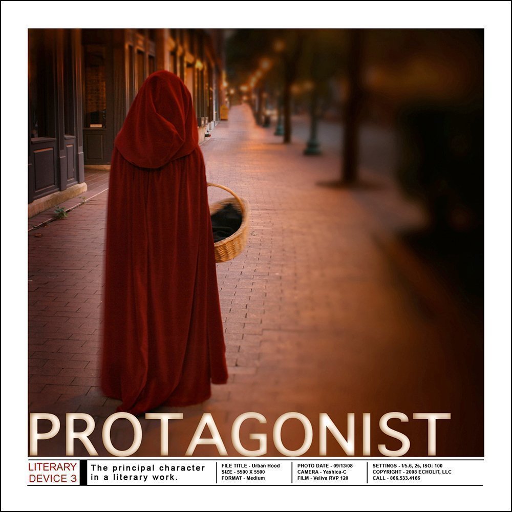 Literary Device Protagonist Poster. For Classroom, Office, Home or Library. Multiple Sizes Available Plain Art Print, Laminated or Framed