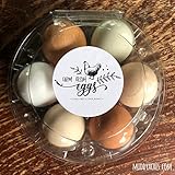 Farm Fresh Eggs Stickers, Cage Free, Free Range, Egg Carton Stickers, Egg Carton Labels, Homesteading, Farmer's Market Packaging, Hen
