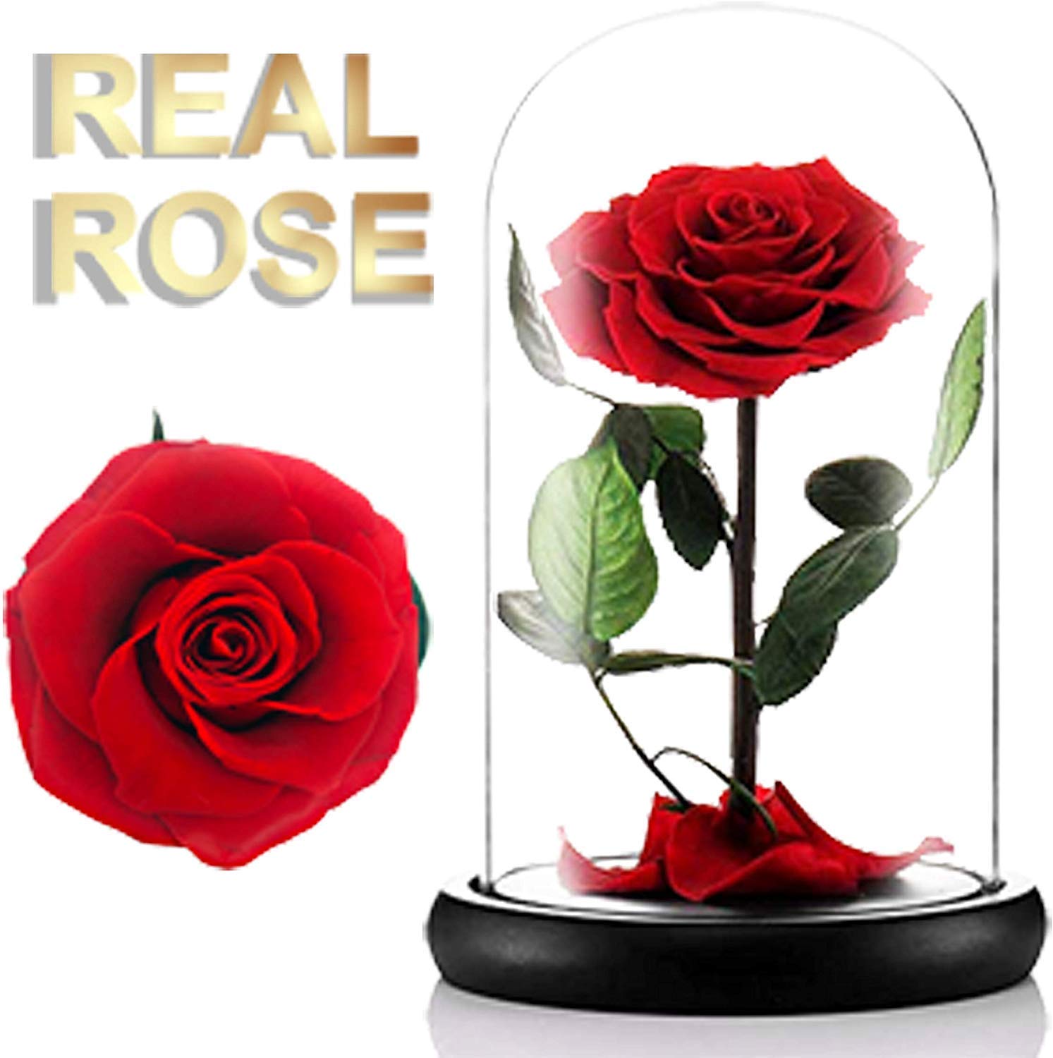 Preserved Flower Rose Eternal Rose Real Rose in Glass Dome Gift for Her Thanksgiving Christmas Valentine's Day Mother's Day Anniversary Birthday Gift (Beauty and The Beast)