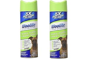 Woolite Deep Stain Remover Foam Carpet Care Foam