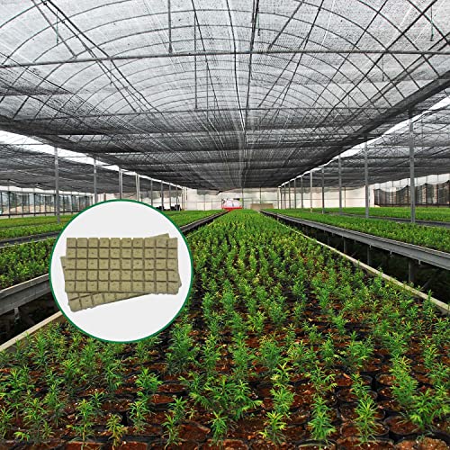 Yeshine 1'' Rockwool/Stonewool Cubes, 100 Starter Plugs With Planting Holes, Ideal Hydroponics Grow Cubes, Perfect For Soilless Culture And Transplanting, 100 Cubes #TOP3