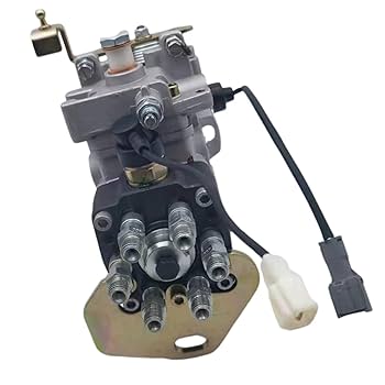 Amazon.com: WSbaodan Fuel Injection Pump 22100-1C050 196000