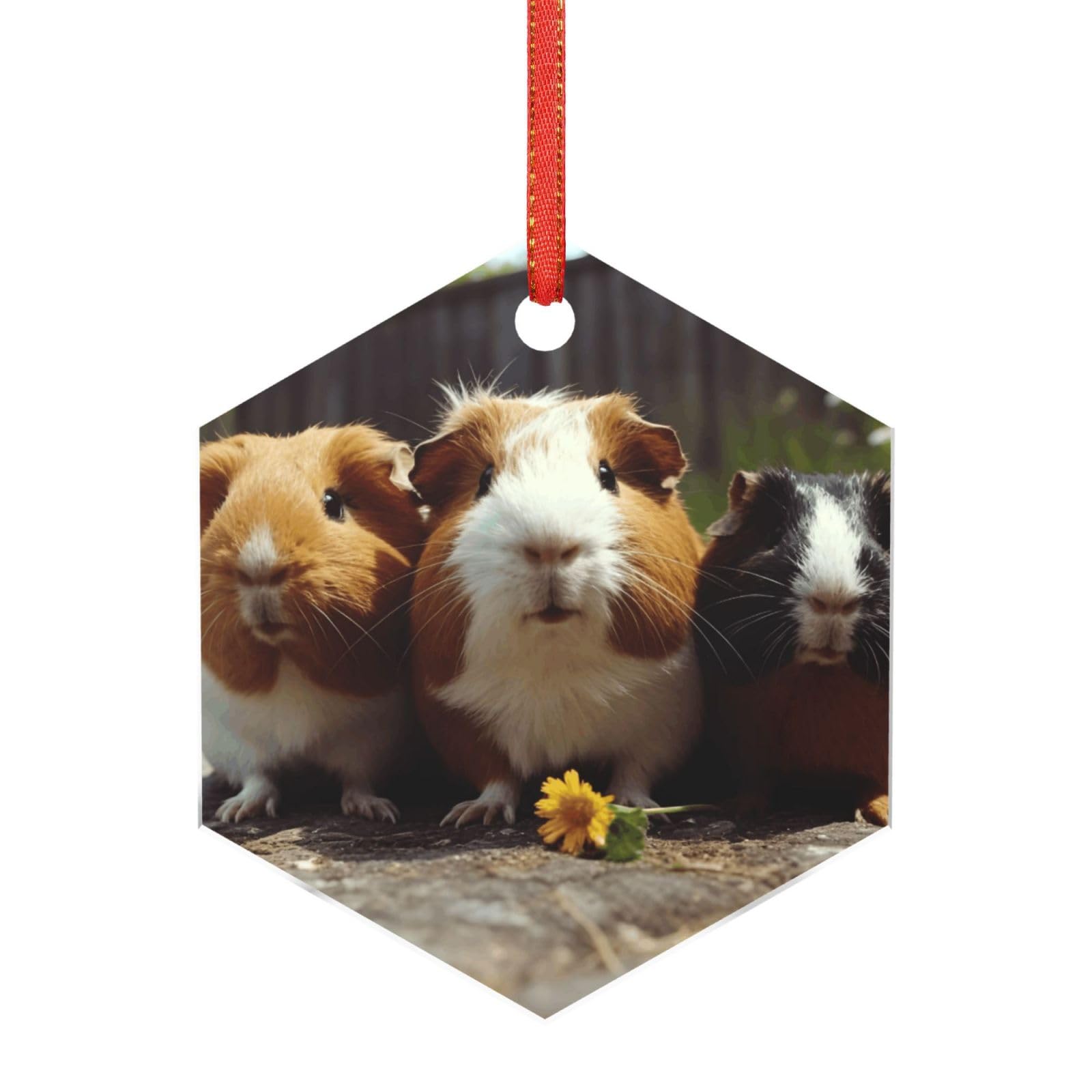 Acrylic Ornament Christmas Tree Decoration Clear Round Pendant with Red Ribbon Guinea Pigs Funny Christmas Ornaments Indoor Outdoor Hanging Acrylic Pendants for Xmas Party Decor