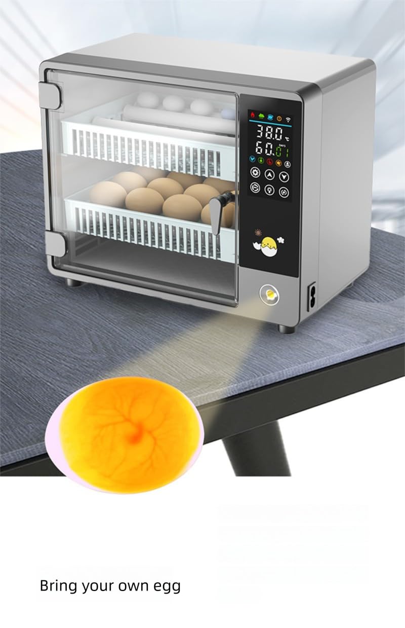 Incubadora digital de huevos con pantalla LCD, capacidad de 24 huevos, control de temperatura, múltiples modos de eclosión de doble capa para pollos, patos, gansos y palomas