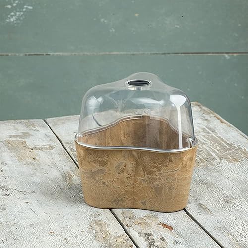 Miniatura 3 de Terrario Tri-Pot