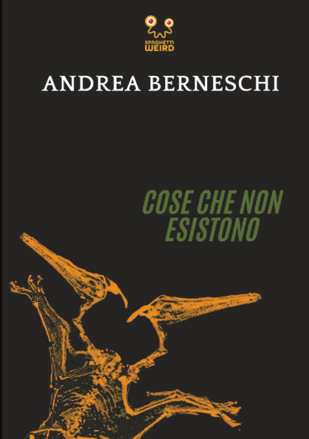 Cose che non esistono