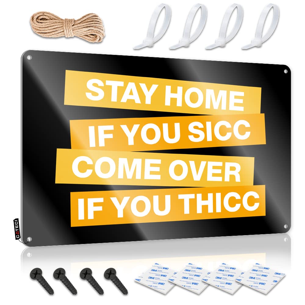 Retro Wall Decor Items Waterproof Artwork, Farmhouse Retro Print For Cafe Pub Basement | Print Pre-drilled Custom Stay Home If You Sicc Come Over If You Thicc(30X40CM)