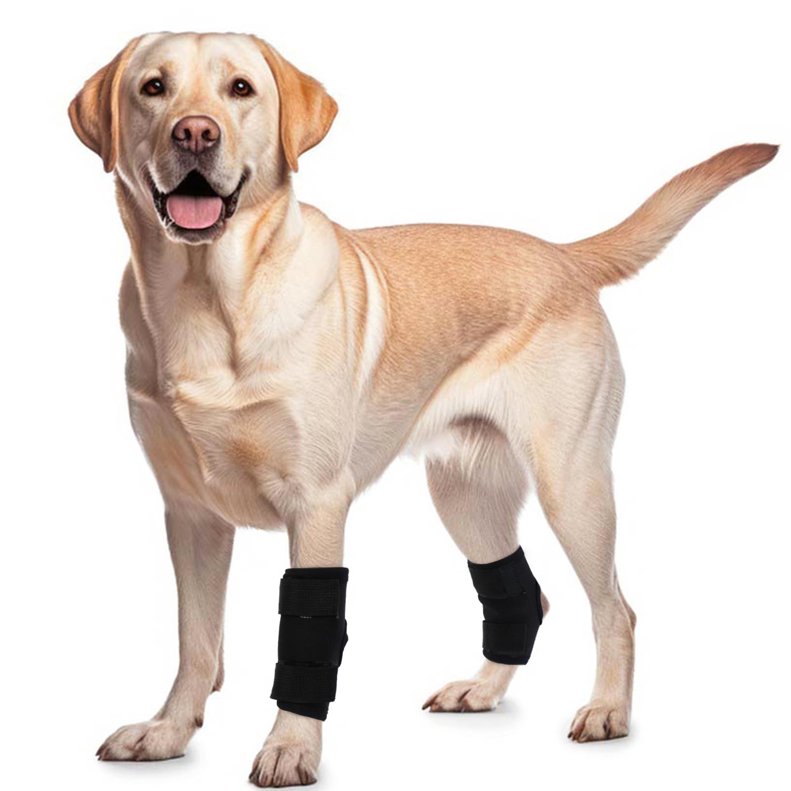 ROZKITCH Dog Leg Protector for Rear Hock Joint or Front Leg Knee, 1 Pair of Dog Leg Compression Wrap Sleeve for Anti Licking Carpal Support Ankle