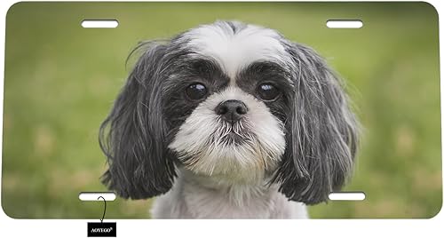 AOYEGO Placa de matrícula Shih Tzu frontal para automóvil, placa de matrícula digital, blanco, negro, perro, sentarse, hierba verde, estándar de EE.