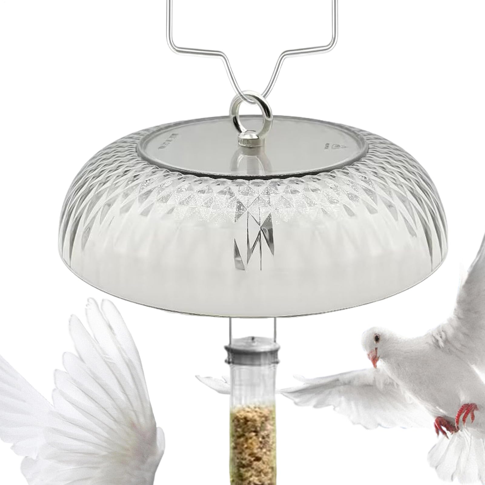 Cúpula protectora de aves transparente que evita semillas húmedas en el patio
