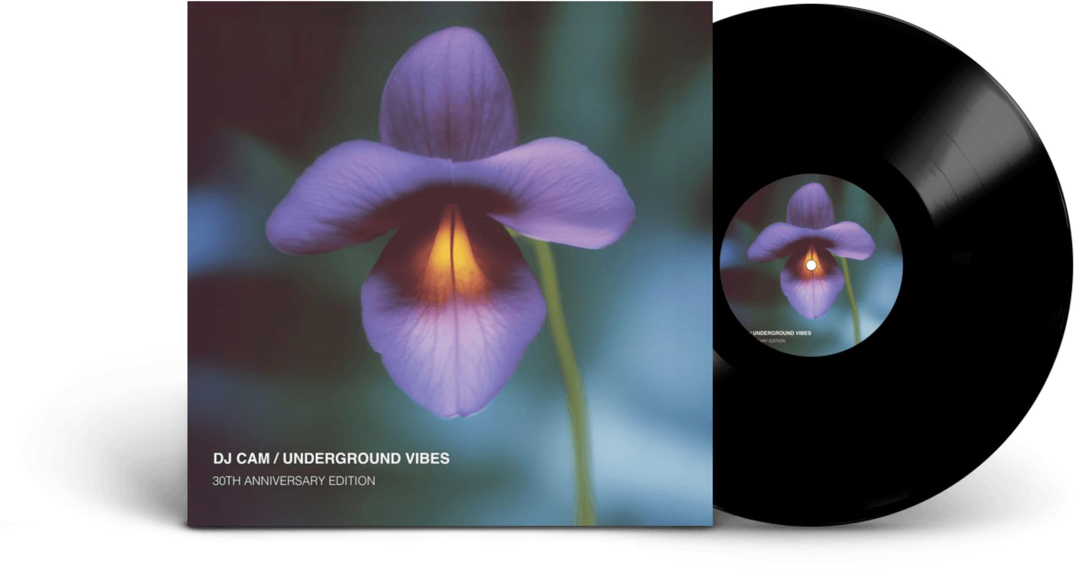 DJ CAM UNDERGROUND VIBES レコード DJ Cam: Underground Vibes (30th Anniversary Edition) Vinyl. Norman
