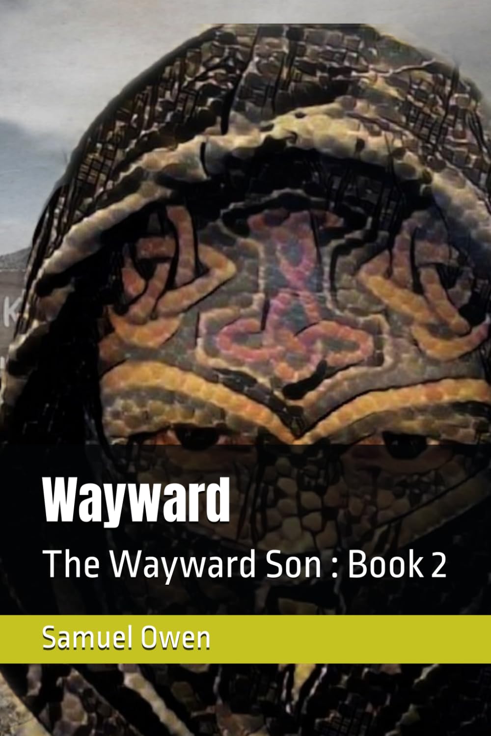 Wayward (The Wayward Son)
