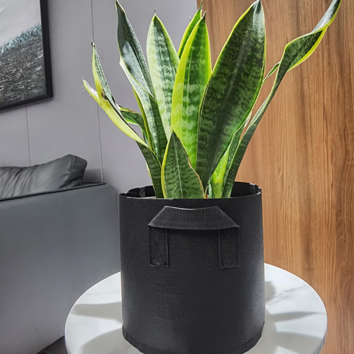 LIFKOME 3 Pcs Gallon Black Non-Woven Plant Growing Bags with Handles, Round Shape, Automatic Drainage and Good Insulation Performance, for Indoor and Garden Succulents and Houseplants image 4
