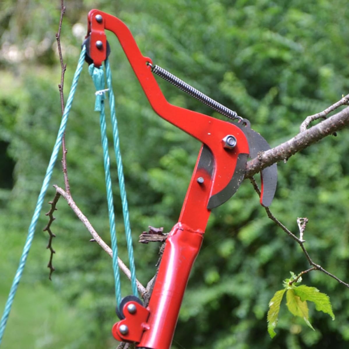 Podadora de Árboles Extensible de Acero Rojo con Polea Compuesta