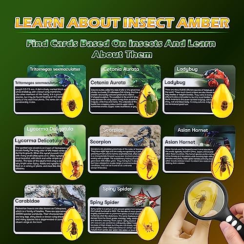 Woumserta 860 Amber Dig Kit - Insects In Resin thumb #3