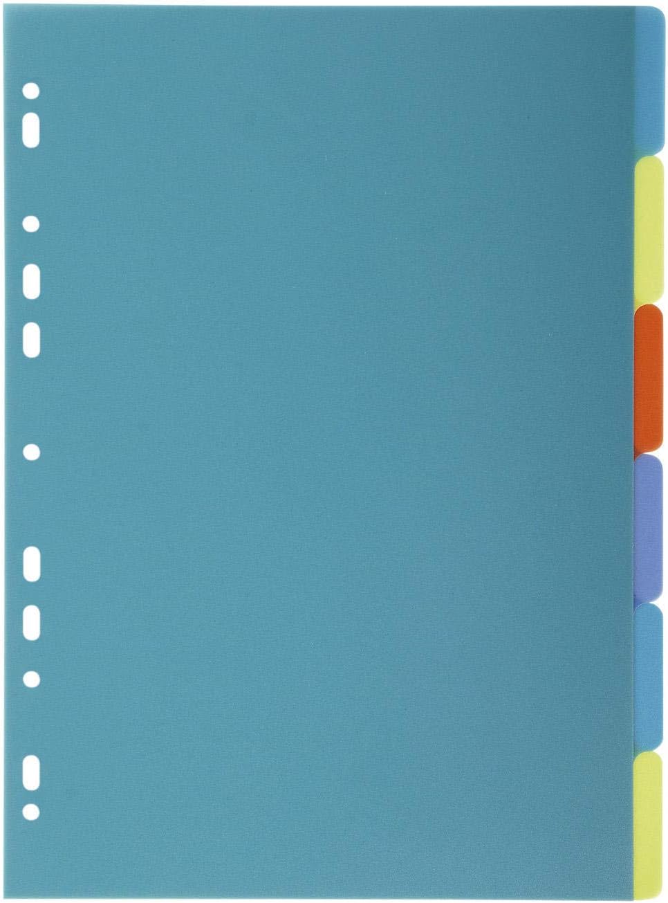 Exacompta 206254 A4 6 Positions Polypropylene Divider