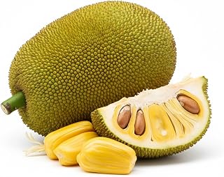 Fresh Jackfruit, 10 Pound, Whole Tropical Fruit