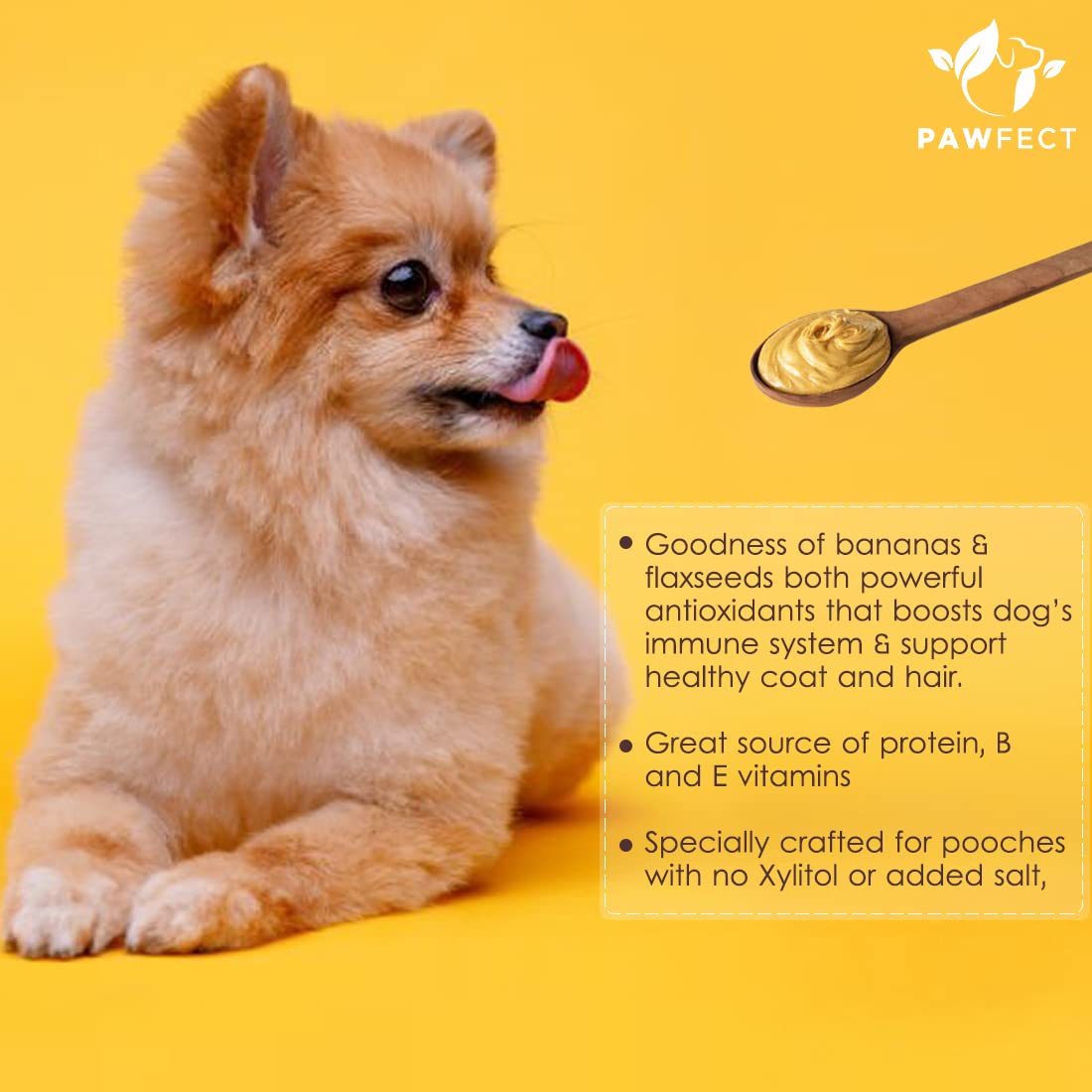 Are Bananas Good For The Indian Spitz