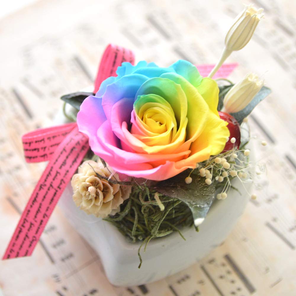 LEBOCADO (レボカド) ローズ お母さんへのギフト ガラスドームのバラの花 LEDライト付き カラフルな銀河造花 ローズ ギフトボッ 母の日特集 | 上質なプリザーブドフラワーを贈るなら | AMOROSA MODERNO