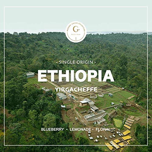 Grand Parade Coffee, 2 Lbs Unroasted Green Coffee Beans - Organic Ethiopian Yirgacheffe Natural, Grade 1 - Specialty Arabica - Fair Trade- Women Produced Single Origin #TOP3
