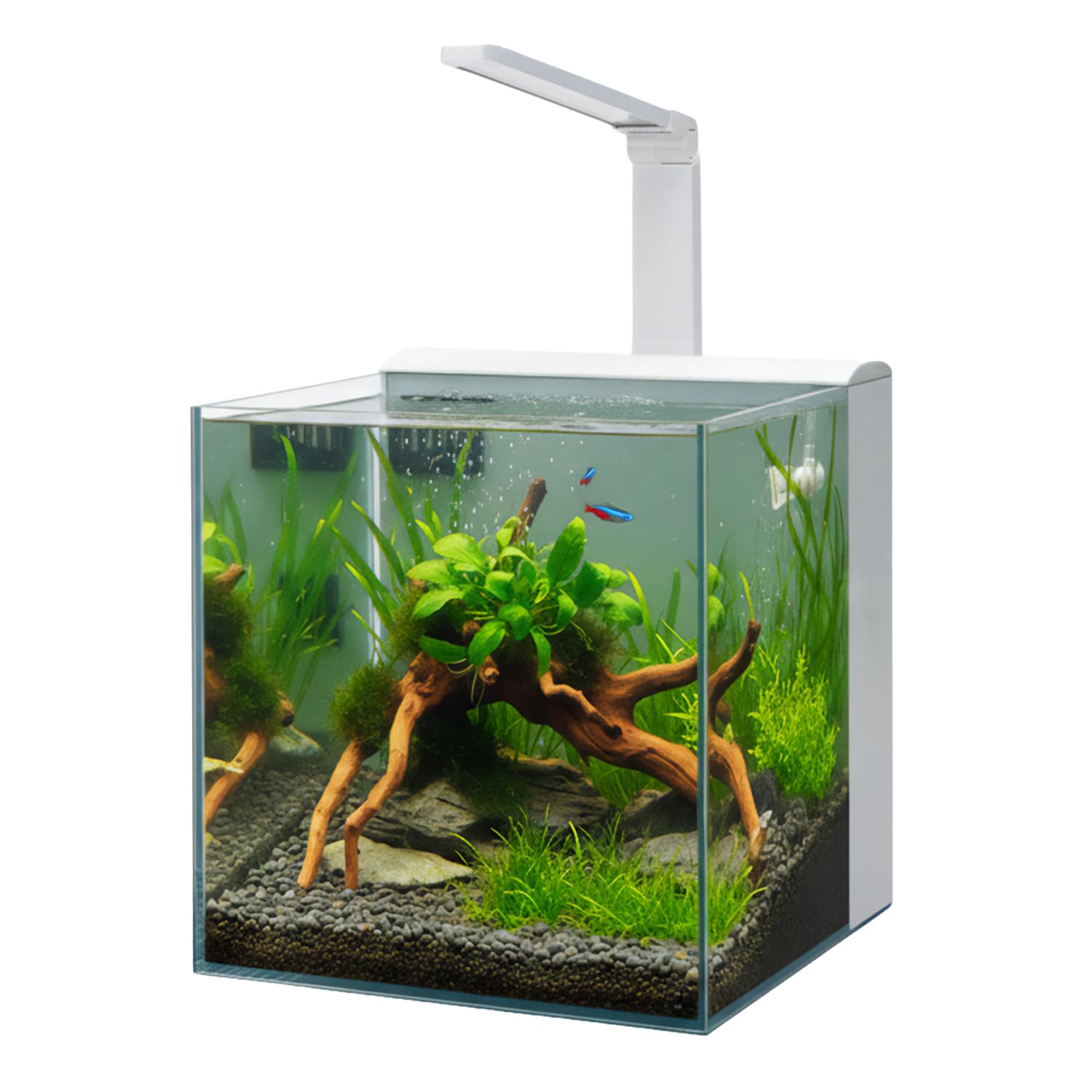 Aqpet Acquario Completo Kubic Rear 50x50x50 cm in Vetro Extrachiaro con Filtro Posteriore Integrato e Luce LED 16W – Vasca Cubica 125 L per Acquari Dolce e Marino – Design Moderno (Bianco)