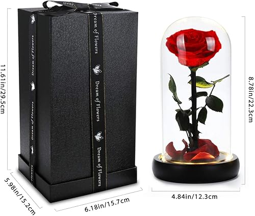 Miniatura 33 de Regalos de cumpleaños para mujer, rosa de la Bella y la Bestia en cúpula de cristal, rosa de seda con luces, regalo para mamá, regalos románticos