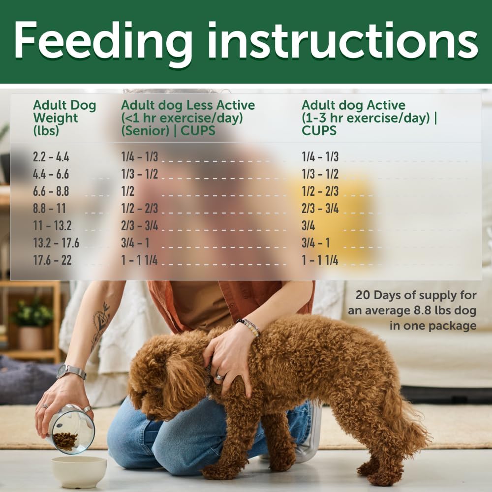 Nature's Protection Superior Care Grain-Free Dry Dog Food with Salmon & Wet Food with Tuna Bundle
