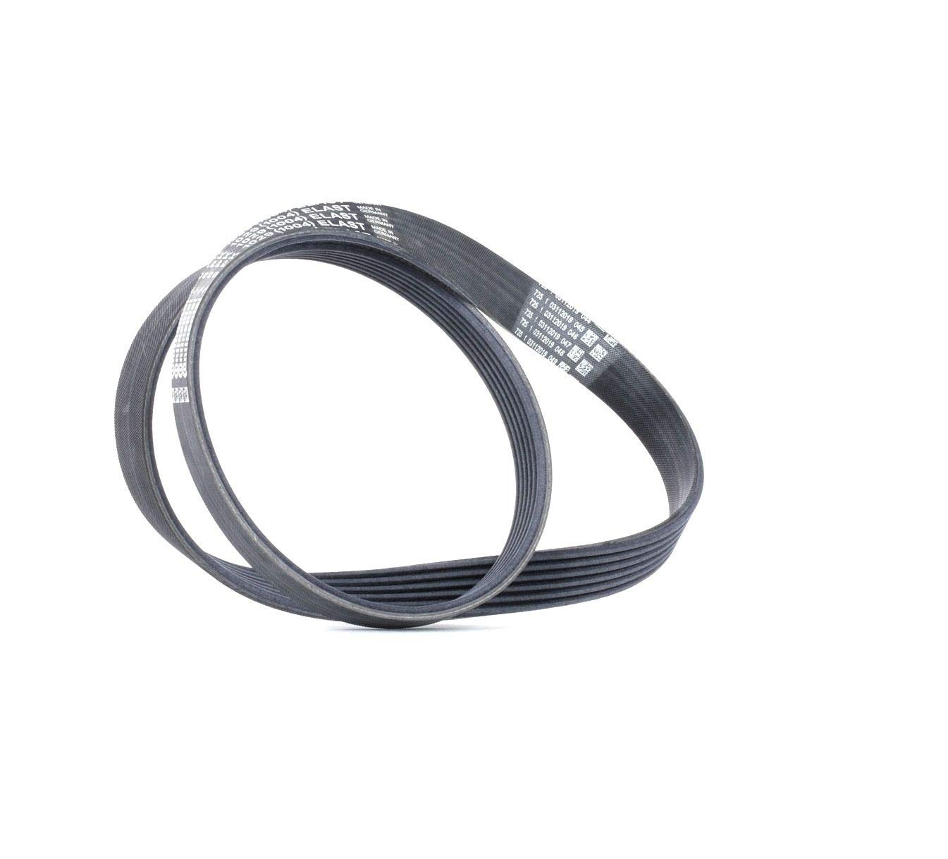Original Continental CTAM V-Ribbed Belt 6PK1029 ELAST for Ford