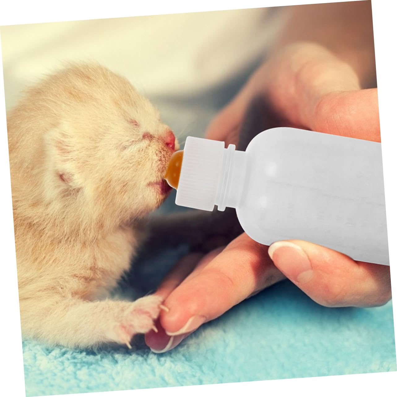 Happyyami Pet Feeding Bottles 3-pc Set for Puppies Kittens Newborn Pets Kitten Bottle Puppy Replacement Milk Liquid