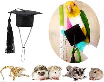 Small Animal Graduation Caps Mini Bachelor Hats with Bright Tassel Costume for Guinea Pigs,Hedgehog,Bird,Turtles,Hamster,Bearded Dragon,Rabbit,Ferret Photo Props Hat Holiday Costume Accessory Black