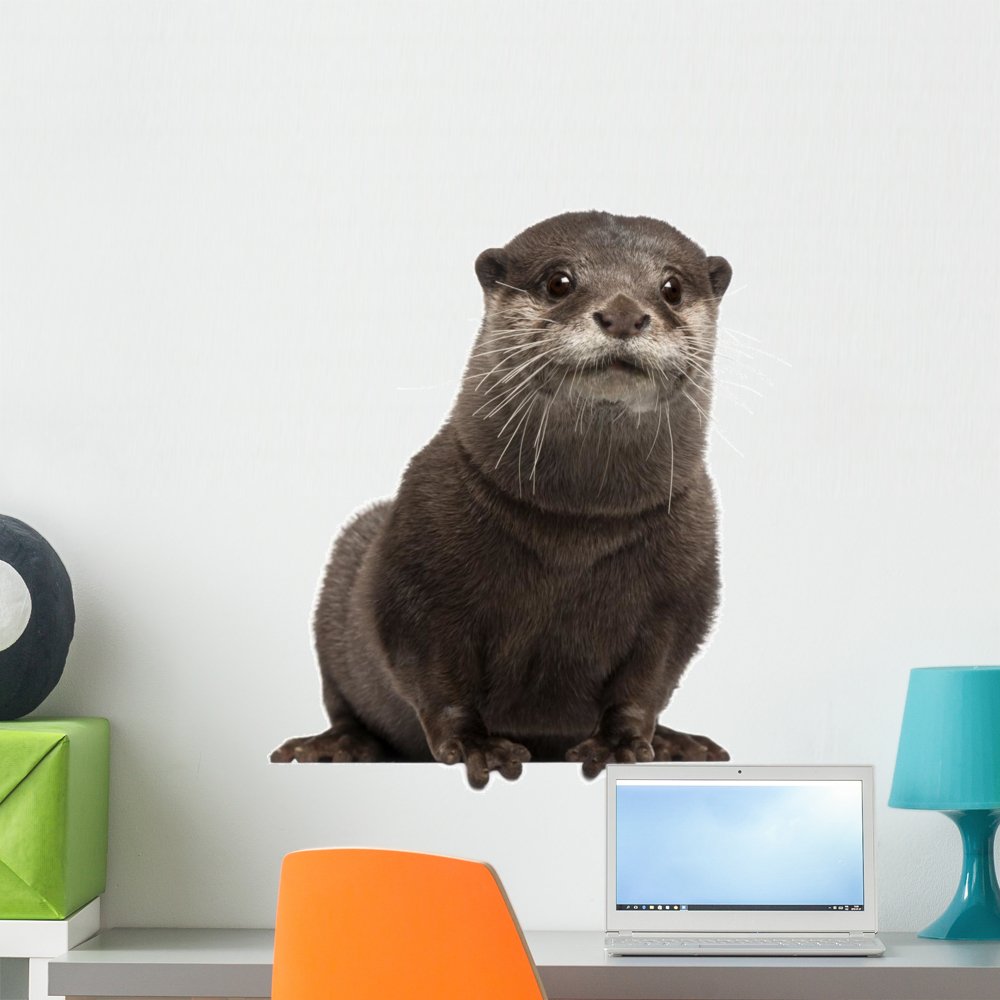 Wallmonkeys Oriental Otter Wall Decal Peel and Stick Animal Graphics (24 in H x 23 in W) WM414545