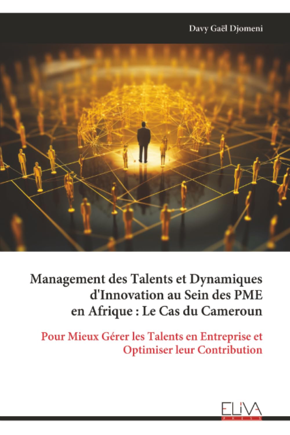 Management des Talents et Dynamiques d'Innovation au Sein des PME en Afrique : Le Cas du Cameroun: Pour Mieux Gérer les Talents en Entreprise et Optimiser leur Contribution