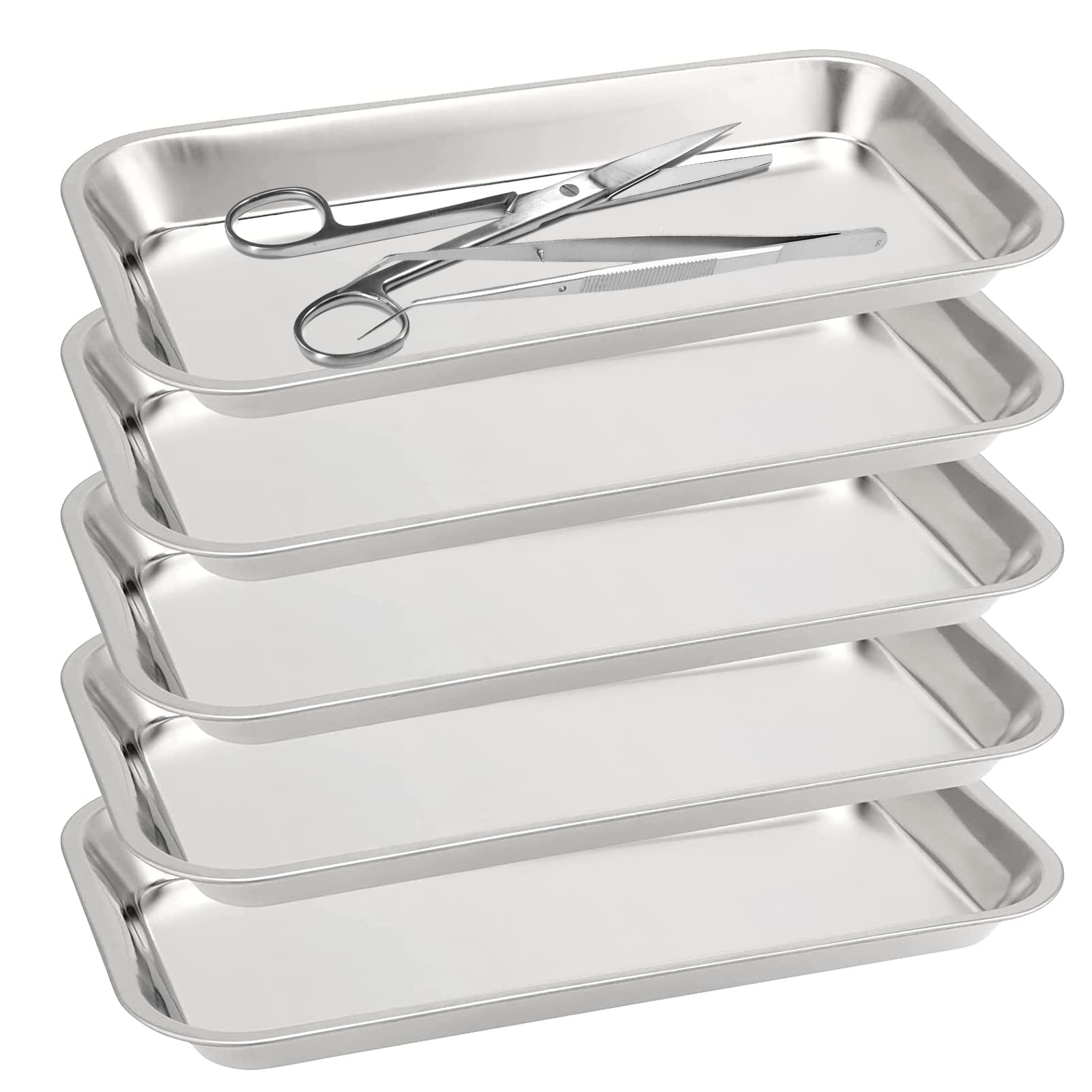 Lot de 5 Plateaux Acier Inoxydable, Plateau De Laboratoire, Plateau à Instruments Rectangulaire en Acier Inoxydable pour Laboratoire, Plateaux de Service, 22,5 x 11,7 x 2 cm