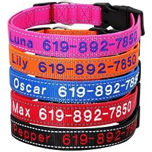 Personalized Dog Collars, Custom Reflective Embroidered Dog Collar with Name and Phone Numbers, Soft Nylon Adjustable, for XS, XL, Small, Medium, Large Dogs