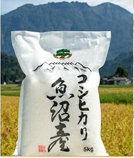 【定期便】【令和7年産 新米】【お米定期便/全12回】南魚沼産コシヒカリ 無洗米5kg<5割減農薬栽培米>城内農産