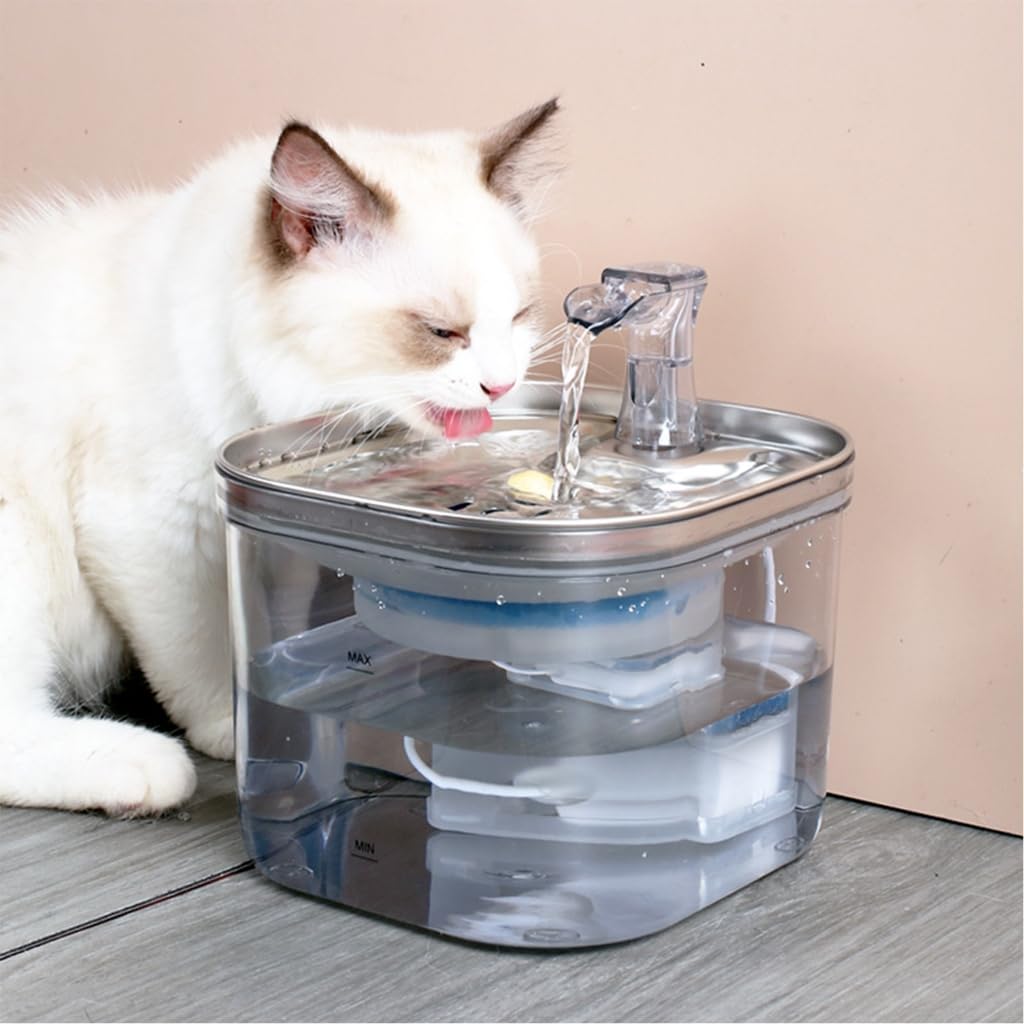 Distributore di acqua per animali domestici con circolazione automatica Filtrazioni e distributore intelligente di acqua per gatti per acqua che scorre