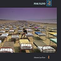 A Momentary Lapse Of Reason Vinyl Product Type : Abis Music Brand : Legacy Recordings