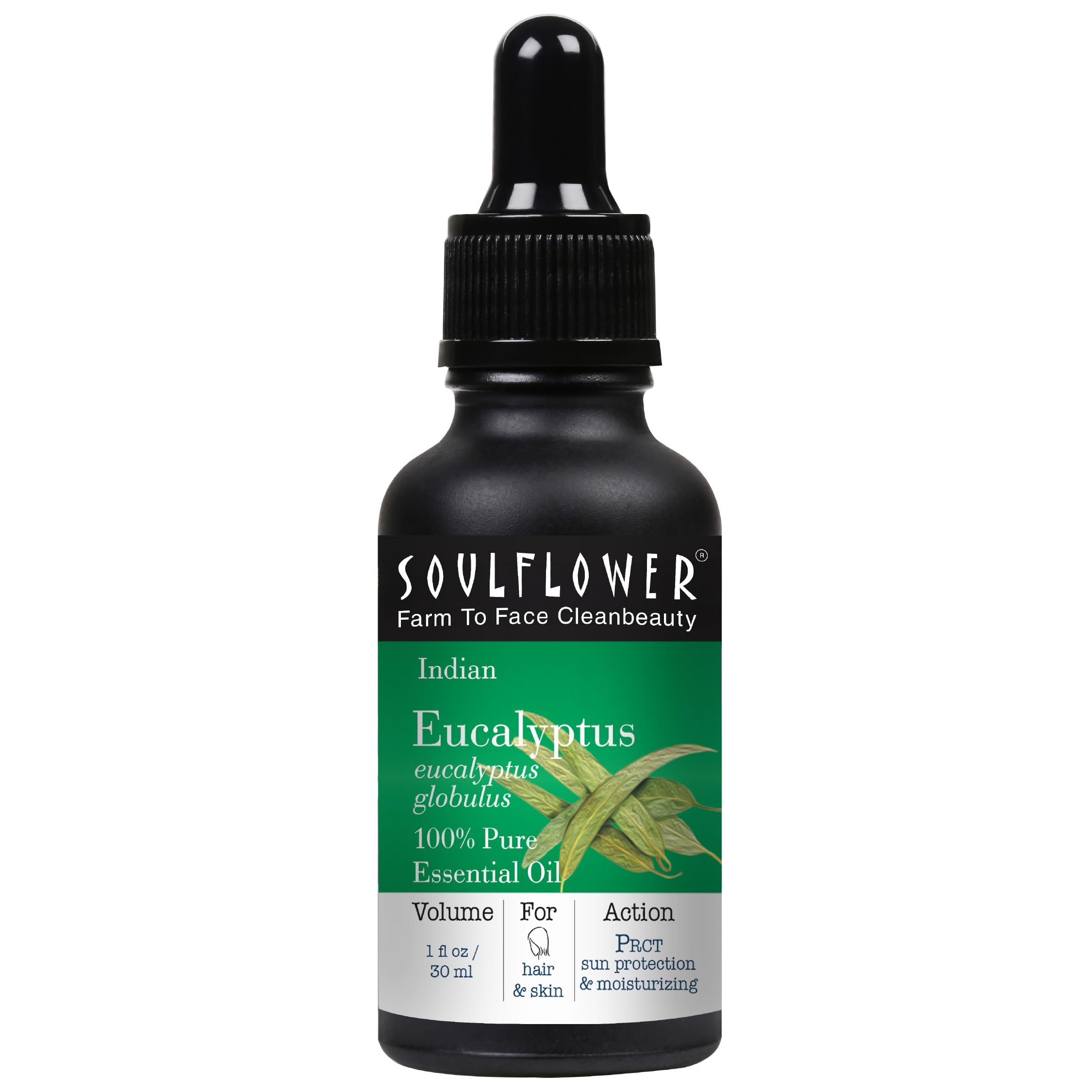 Soulflower Eucalyptus Essential Oil | For Cold & Cough-Camphor Family | 100% Natural, Pure, Organic | Halal Certified | Alcohol Free | Steam Distilled | 30ml/ 1 Fl Oz - Free Glass Dropper