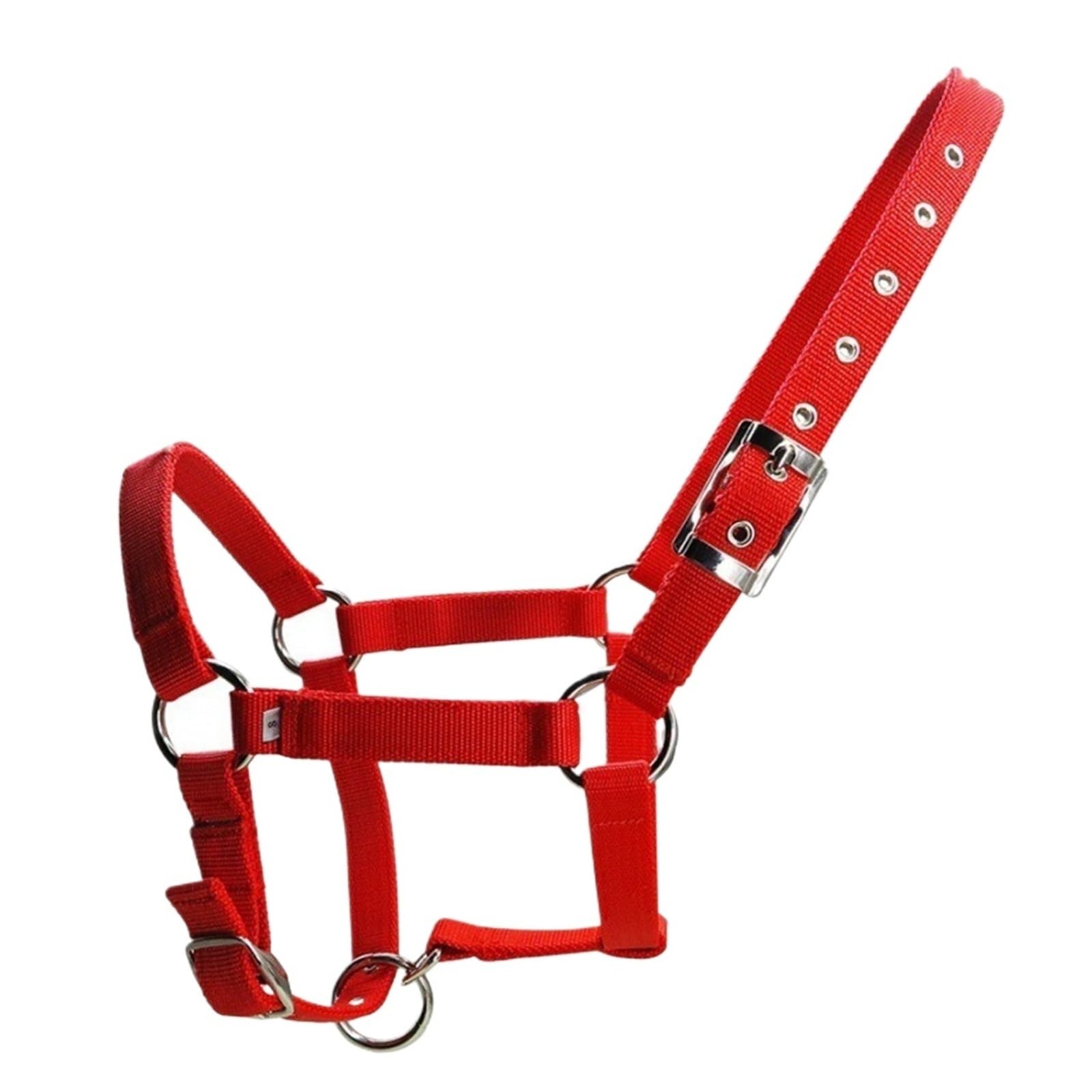 Cavezza Per Cavallo Testiera imbottita regolabile for forniture equine(Black XL)
