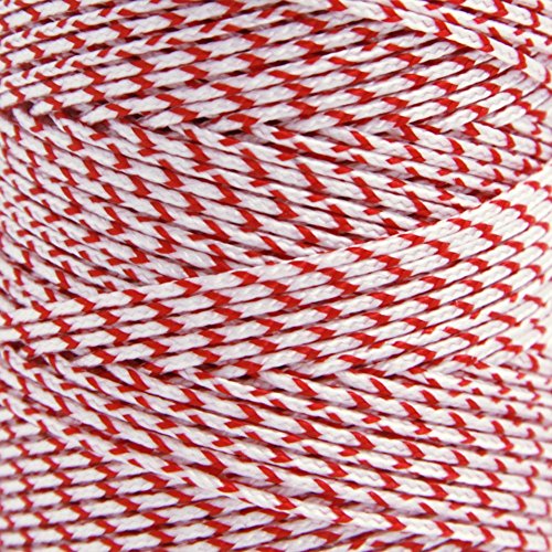 Emma Kites Lockable Kite Reel Winder 8.7Inches(Dia) Macaron Blue With 120Lb Line Smooth Rotation Ball Bearing Tool For Single Line Kite Flying Inflatable Delta Octopus Another Big Knob #TOP4