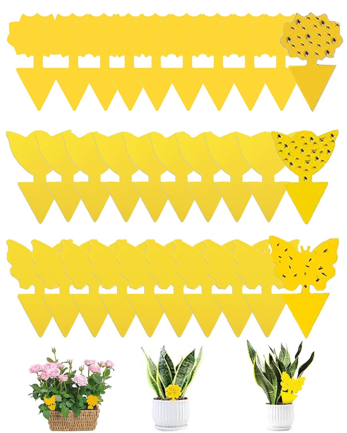30 Pcs Fruit Fly Trap, Fly Catcher, Fruit Fly Trap for Home, Yellow Double-Sided Non-Toxic Fly Trap, Insect Catcher Sticky Bug Sticky Housefly Killer for Home/Kitchen/Plant (B0D9QRRZ82) Amazon Price History, Amazon Price Tracker