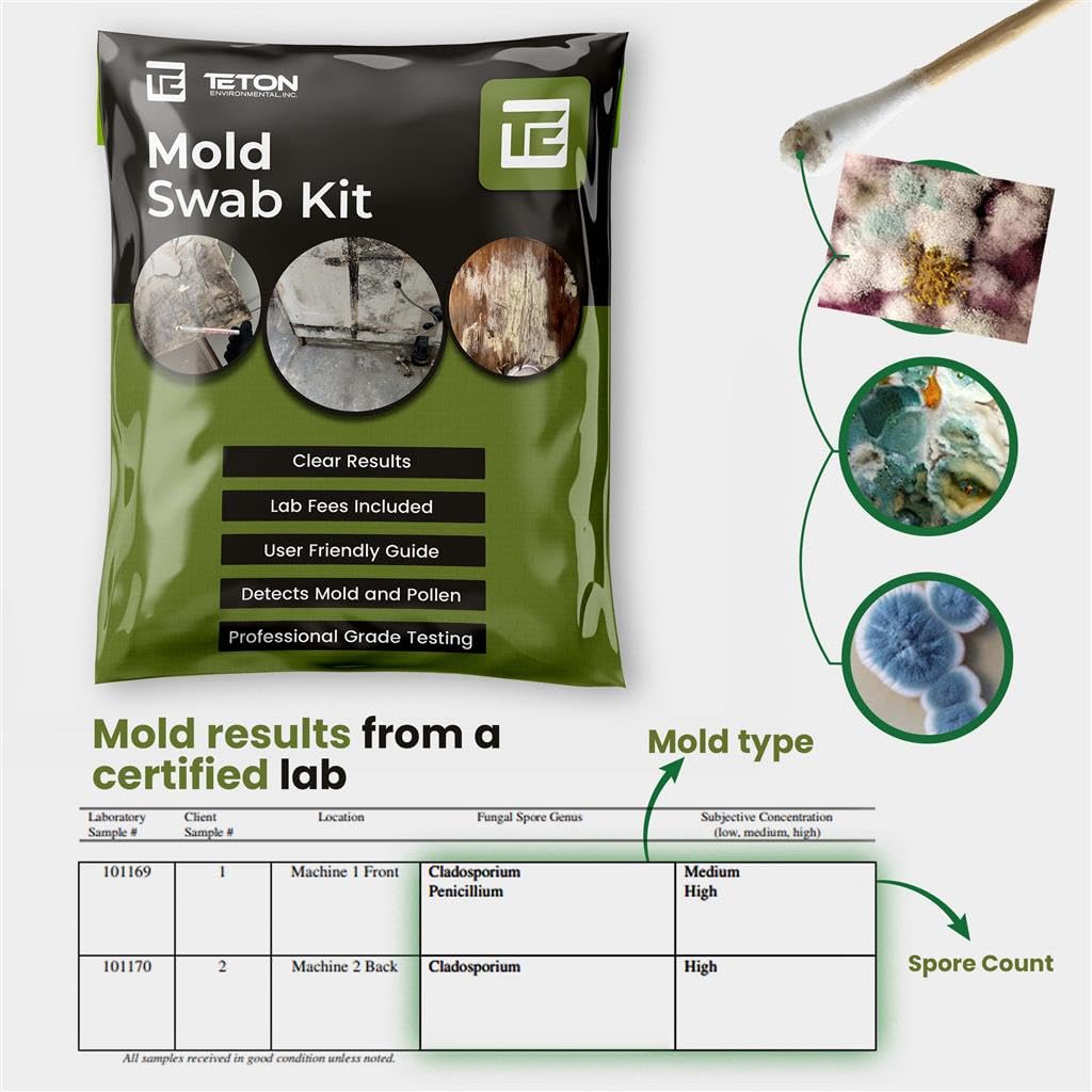 Mold Test Kit – Lab Fees Included, Detects 20+ Mold Types & Pollen, Easy-to-Use Guide, Professional-Grade Testing (2 Pack)