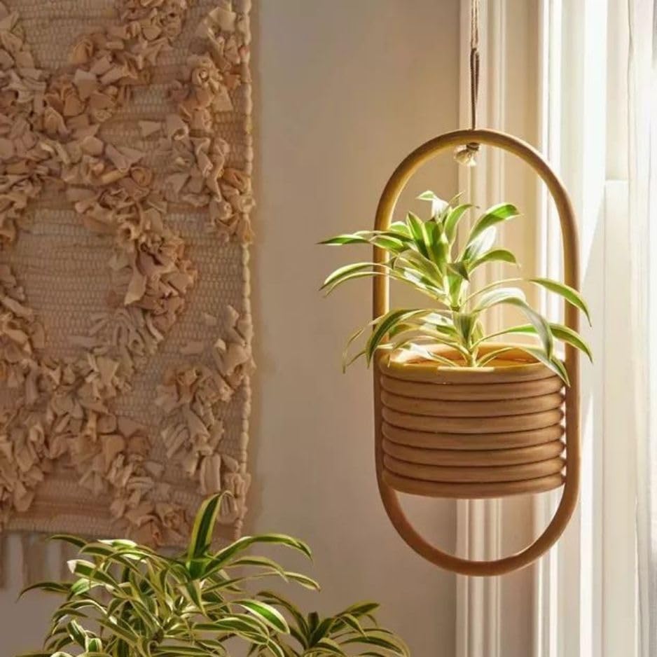 Living with Nature Cane Hanging Handcrafted Planter Varnish Brown 1 Pc (B0CVQMDS33) Amazon Price History, Amazon Price Tracker