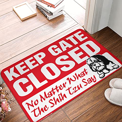 Tapis antidérapant lavable 65 x 90 cm pour bloquer la saleté - 2