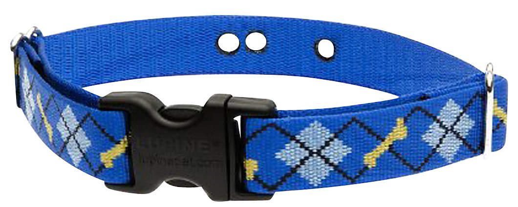 LupinePet Originals 1" Dapper Dog 16-24" Containment Collar Strap for Medium and Larger Dogs