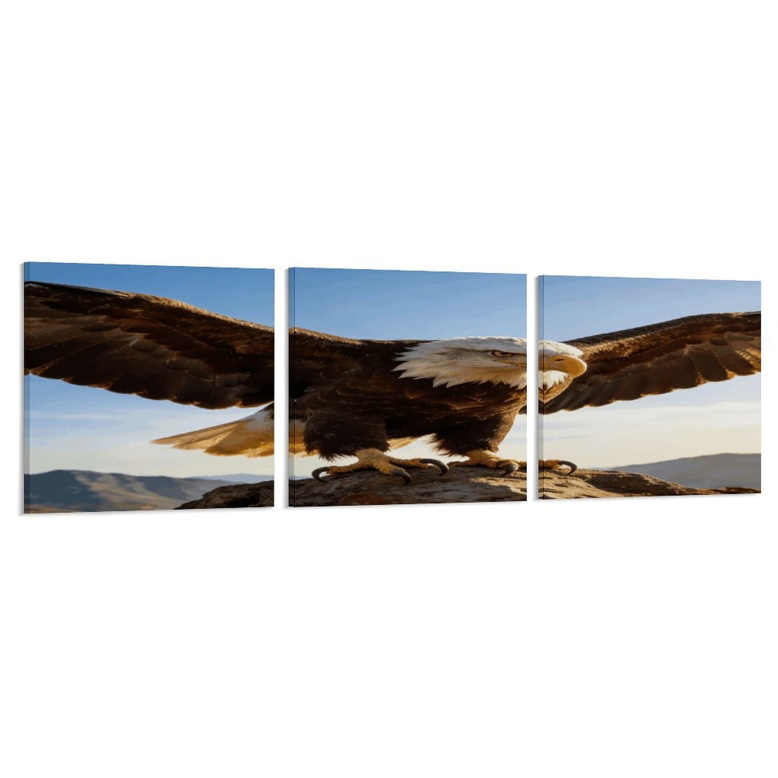 Khauerbc Style Set Of 3 Fierce Eagle And National Flag Wall Art，Paintings Artwork For Living Room, Hallway, Bedroom, Office Wall Decor For Living Room, Hallway, Bedroom, Office Paintings Artwork 8X8 Inch