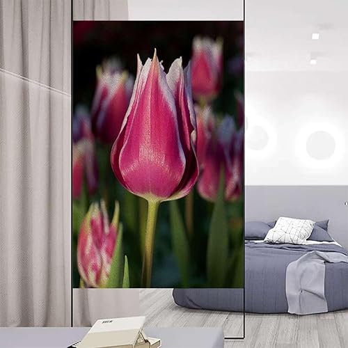 Lámina de privacidad para ventana de baño, no adhesiva, para baño, privacidad, vidrio esmerilado, calcomanías para ventana, acuarela, flores,