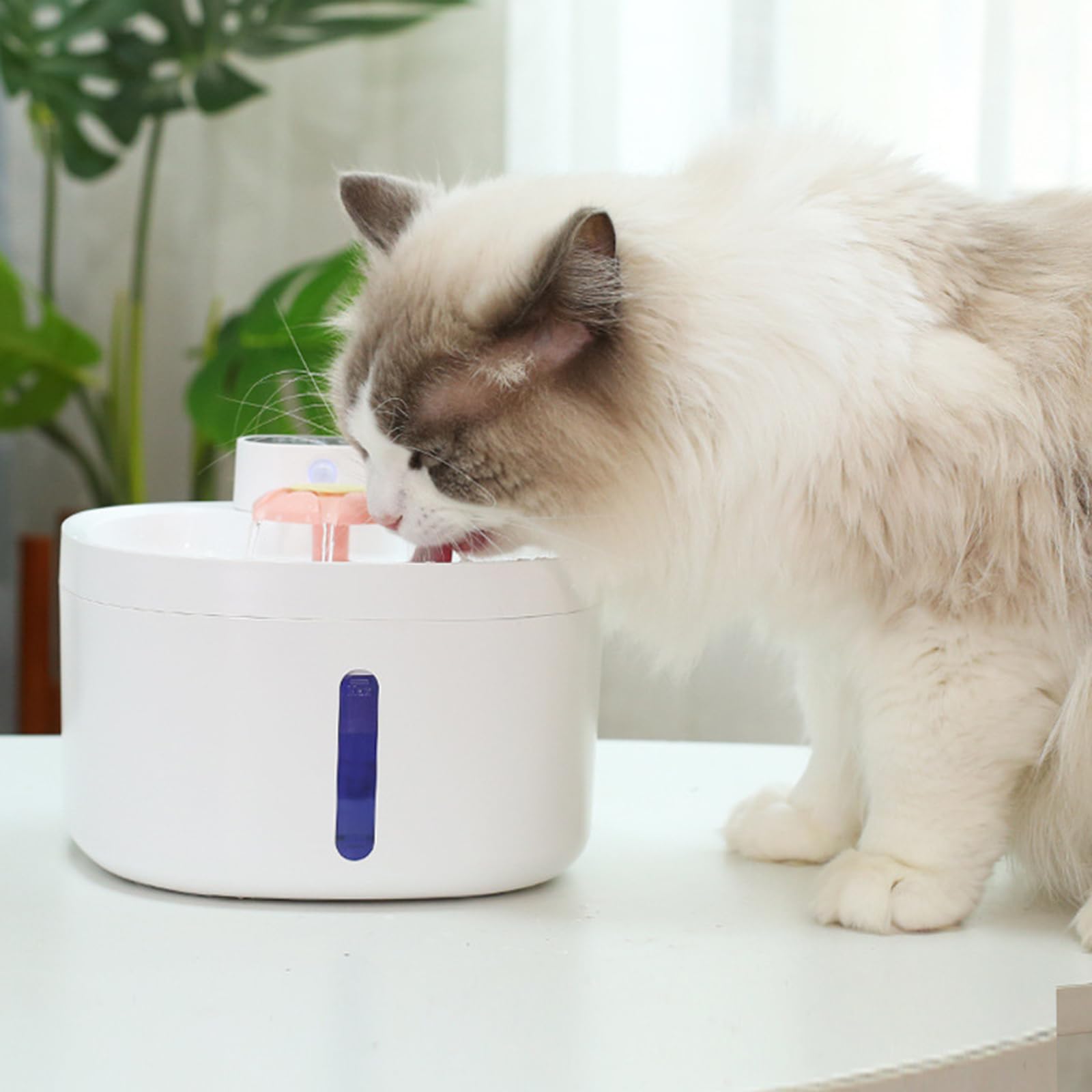 Fuente de agua para mascotas para gatos de interior, dispensador de agua de detección con juego de cartuchos, tubo y cuenco compacto de ABS para el hogar, fuente automática para mascotas, dispensador