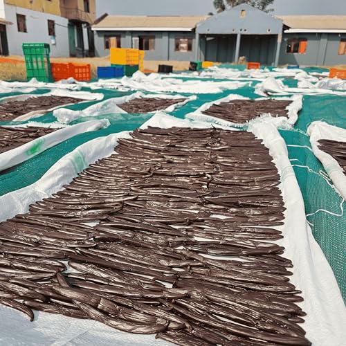 50 Vanilleschoten Auswahl Premium 14-16 cm, Qualität Extra, süss, Duft - Eco Pack