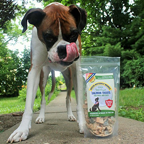 Green Butterfly Brands Salmon Dog Treats – Made In Usa Only – 1 Ingredient: Wild Caught American Salmon – Freeze Dried Raw, Human Grade – No Additives Or Preservatives - Grain Free Cat Snack, 5 Ounces #TOP7